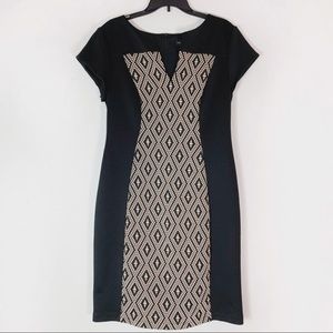 Black Tan Career Office Modest Paneled Dress 12